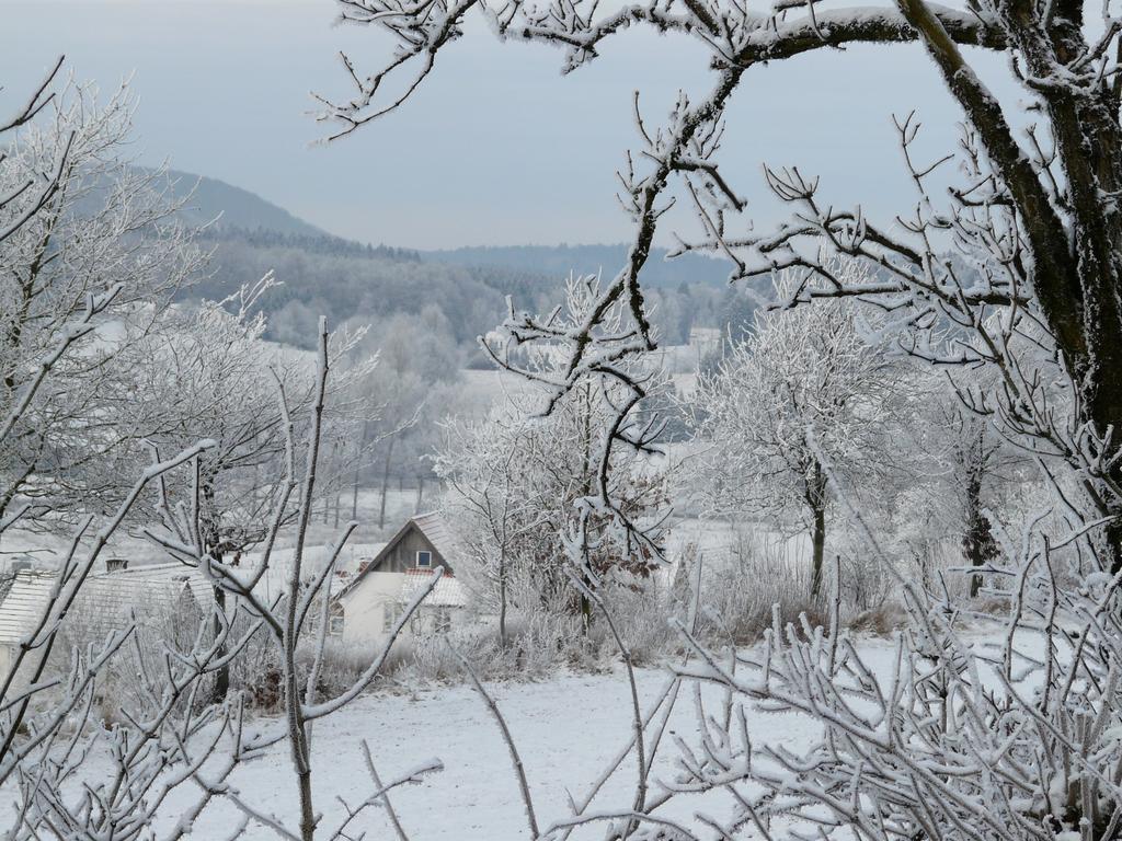 Ferienwohnung Haus mit Aussicht Horn-Bad Meinberg Exterior foto